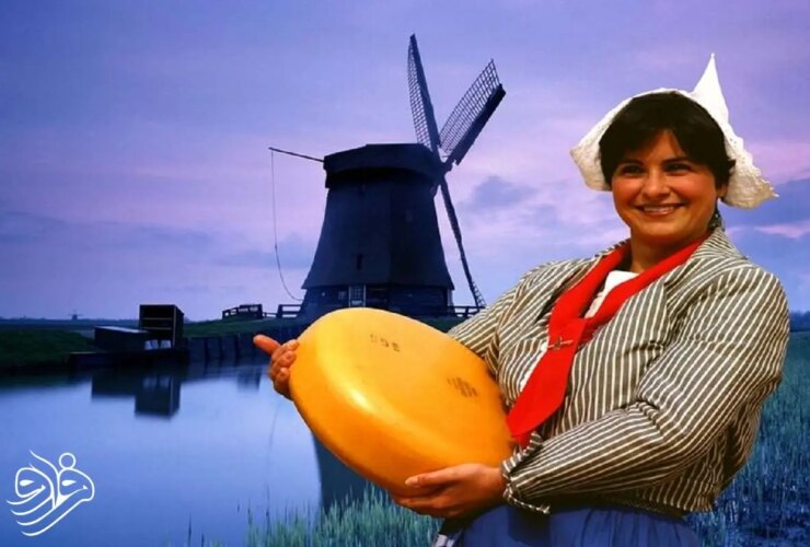 اره ای که دنیا را تغییر داد!