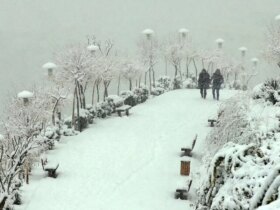 بارش شدید برف در زنجان 8 بارش شدید برف در زنجان