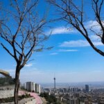 تهران داره سرد میشه