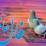 فال حافظ روزانه پنجشنبه ۲۰ آذر ؛ شانس و اقبال به سراغت آمده که درهای رحمت خداوند به رویت باز شده