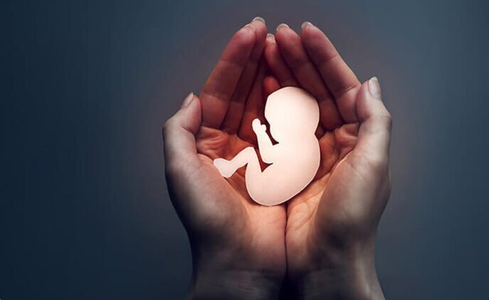 آلودگی هوا؛ آسیب پنهان به سلامت مادر و جنین 5 آلودگی هوا؛ آسیب پنهان به سلامت مادر و جنین