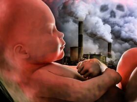 آلودگی هوا؛ آسیب پنهان به سلامت مادر و جنین 9 آلودگی هوا؛ آسیب پنهان به سلامت مادر و جنین