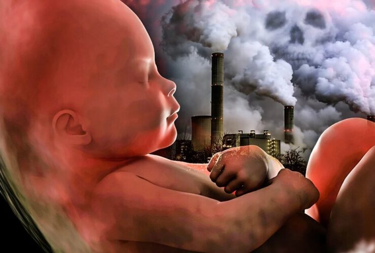 آلودگی هوا؛ آسیب پنهان به سلامت مادر و جنین 27 آلودگی هوا؛ آسیب پنهان به سلامت مادر و جنین