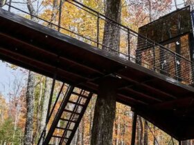 کریستال سیاه، نام خانه ای متفاوت 11 کریستال سیاه، نام خانه ای متفاوت