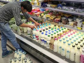 4 اصلاح قیمت شیر ​​خام و لبنیات