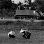 (تصاویر) یک ایرانی در جنگ ویتنام