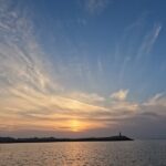 داوود مرادیان: نخل طلای کن بخشی از پروژه تقسیم اجتماعی است/