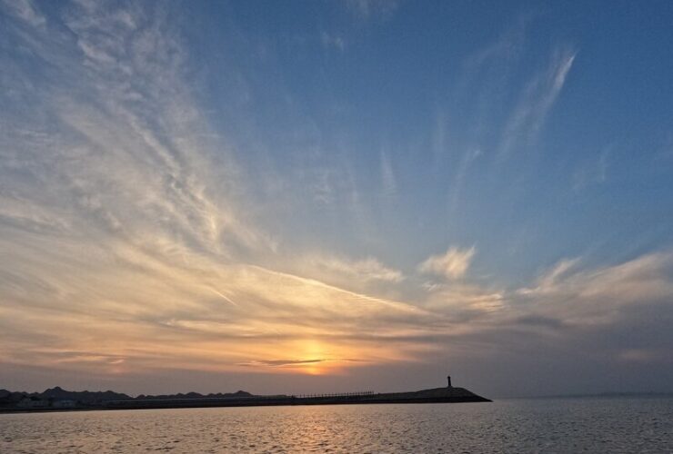 داوود مرادیان: نخل طلای کن بخشی از پروژه تقسیم اجتماعی است/