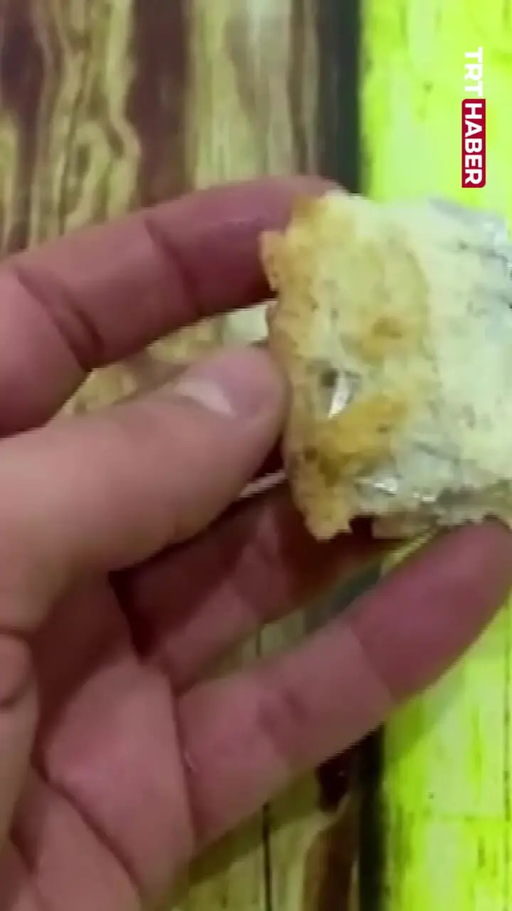 پیدا کردن تیغ ​​در نان هنگام صرف صبحانه بسیار تکان دهنده بود.