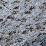 هزاران ردپای دایناسور در شمال ایتالیا کشف شد