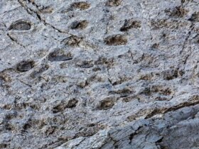 هزاران ردپای دایناسور در شمال ایتالیا کشف شد