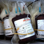 اهدای خون یک نفر جان 3 بیمار را نجات داد/ اهدای خون زنجیره در هم تنیده بشریت است