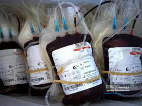 اهدای خون یک نفر جان 3 بیمار را نجات داد/ اهدای خون زنجیره در هم تنیده بشریت است 8 اهدای خون یک نفر جان 3 بیمار را نجات داد/ اهدای خون زنجیره در هم تنیده بشریت است