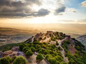 وزارت امور خارجه سوریه برای اولین بار نقشه بدون جولان منتشر کرد! 8 وزارت امور خارجه سوریه برای اولین بار نقشه بدون جولان منتشر کرد!