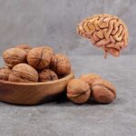 تاثیر مصرف گردو بر عملکرد و سلامت مغز