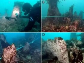 دیوار باستانی