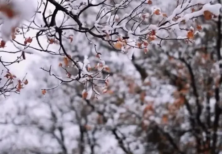 زمستان 1404: عاشقانه احسان علیخانی با "درد و نفرین" 12 زمستان 1404: عاشقانه احسان علیخانی با "درد و نفرین"