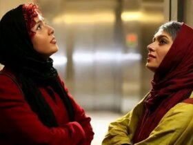 photo_2025-12-25_01-29-10