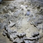 عصر یخبندان