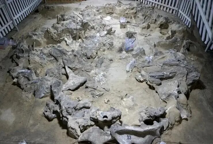 عصر یخبندان