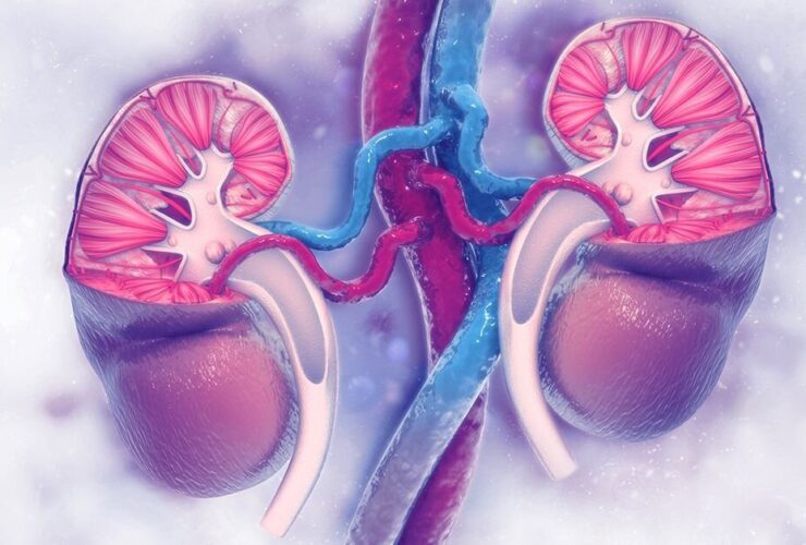 اسکن کلیه؛ نیازهای ثابت بیماران دیابتی 29 اسکن کلیه؛ نیازهای ثابت بیماران دیابتی