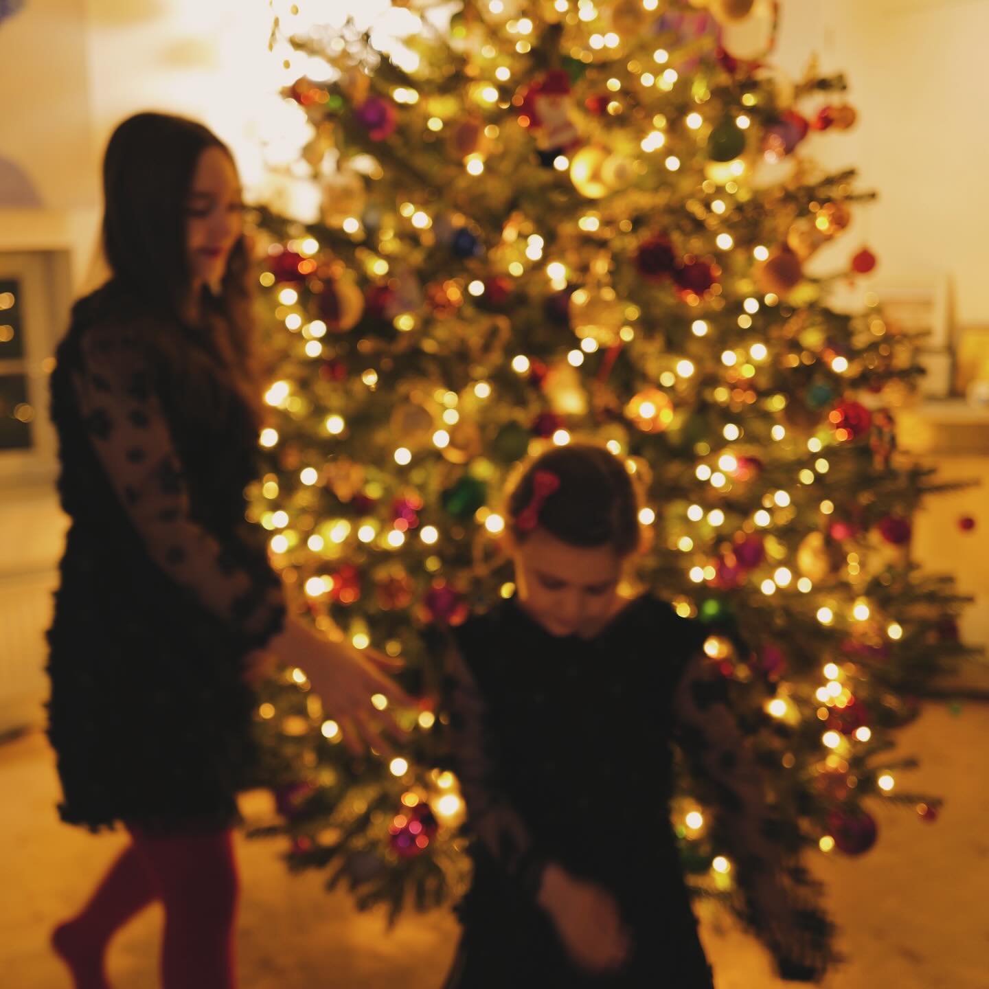 عکس خانوادگی خرم سلطان بازیگر زیبای کریسمس 6 605614208_18551240647054826_889636553168142057_n