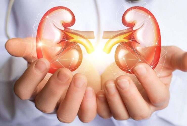 تغذیه هوشمند؛ کلید کنترل سنگ کلیه 9 تغذیه هوشمند؛ کلید کنترل سنگ کلیه