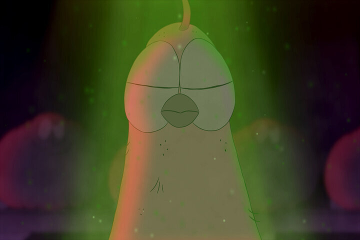 پشه ای که جان مرغ ها را نجات داد/ بودجه 500 میلیونی، 70 میلیون پرداخت!