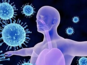 روند آنفولانزا در کشور رو به افزایش است