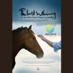 «پسر شیهه...» به جشنواره شنژن چین راه یافت/ نامزد بهترین فیلمبردار