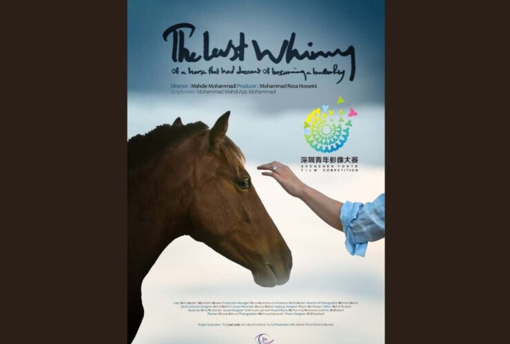 «پسر شیهه...» به جشنواره شنژن چین راه یافت/ نامزد بهترین فیلمبردار