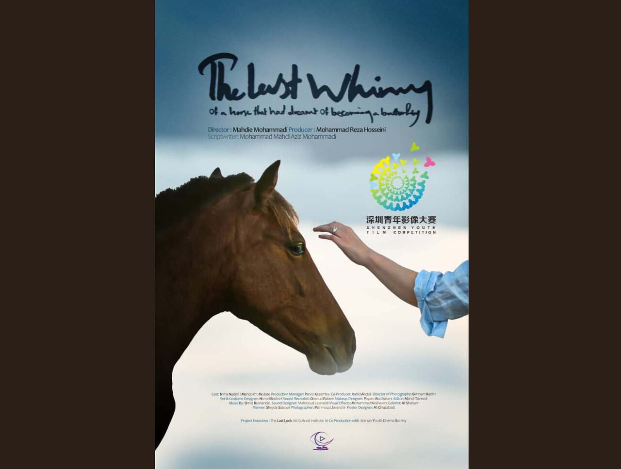 «پسر شیهه...» به جشنواره شنژن چین راه یافت/ نامزد بهترین فیلمبردار