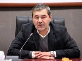 الیزایی برای یافتن منشأ درد، اسطوره ها را تحلیل کرد