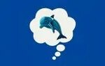 هنر روانشناسی؛ قانون دلفین آبی چیست؟