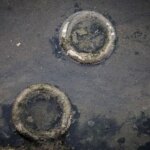 تصاویر; نهرهای بندرعباس; محل پرورش پشه Aedes