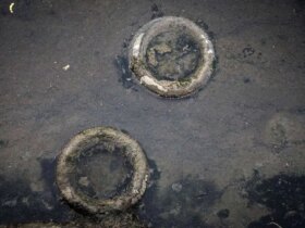 تصاویر; نهرهای بندرعباس; محل پرورش پشه Aedes