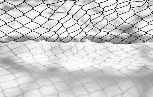 مجموعه ای از عکس های عباس کیارستمی