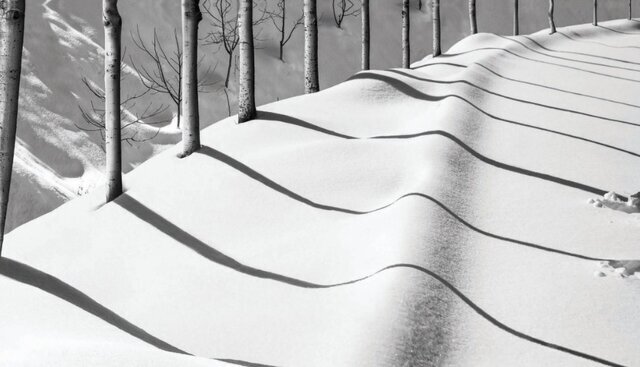 عکس عباس کیارستمی در حراج فیلیپس فروخته شد. 