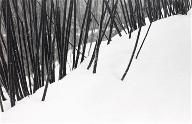 چرا عکس های کیارستمی معروف شد؟