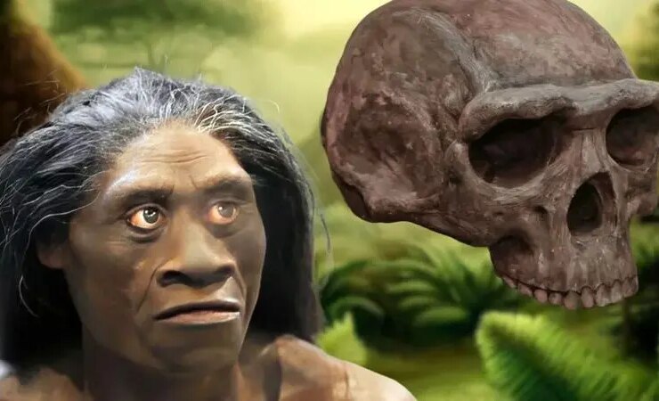 چگونه تغییرات آب و هوایی باعث انقراض مردم فلورزی شد؟ 33 فلور انسان