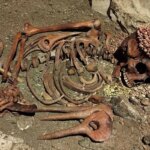 اسکلت 27 هزار ساله مرد جوان قربانی خرس پیدا شد