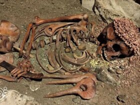 اسکلت 27 هزار ساله مرد جوان قربانی خرس پیدا شد