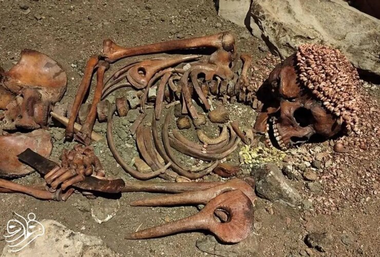 اسکلت 27 هزار ساله مرد جوان قربانی خرس پیدا شد