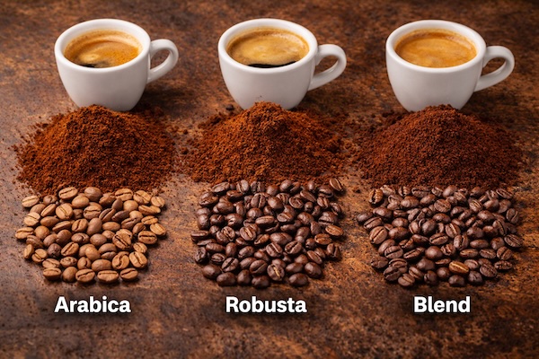راهنمای جامع انتخاب قهوه مناسب؛ چه قهوهای برای دستگاه من بهتر است؟ 6 دو نوع قهوه عربیکا و روبوستا در دنیای قهوه وجود دارد که ترکیب میزان مشصی از آنها بهترین انتخاب برای شخص شماست