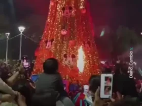 آتش سوزی ناگهانی درخت کریسمس در مکزیک 9 آتش سوزی ناگهانی درخت کریسمس در مکزیک