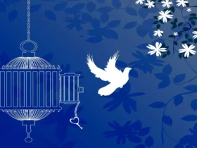 آزادی تمامی مادران تا ۲۵۰ میلیون تومان زندانی جرائم مالی غیرعمد به همت بانک پارسیان