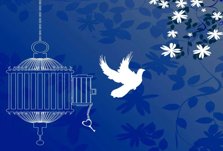 آزادی تمامی مادران تا ۲۵۰ میلیون تومان زندانی جرائم مالی غیرعمد به همت بانک پارسیان 12 آزادی تمامی مادران تا ۲۵۰ میلیون تومان زندانی جرائم مالی غیرعمد به همت بانک پارسیان