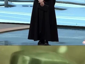 آهنگ درخواستی المیرا شریفی مقدم به صورت زنده پخش می شود