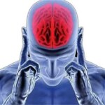 آیا ما فقط از 10 درصد از قدرت مغز خود استفاده می کنیم؟