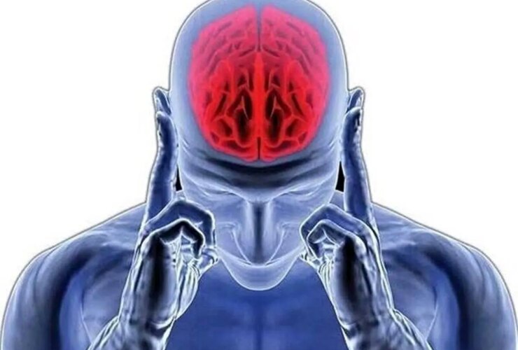 آیا ما فقط از 10 درصد از قدرت مغز خود استفاده می کنیم؟ 14 آیا ما فقط از 10 درصد از قدرت مغز خود استفاده می کنیم؟